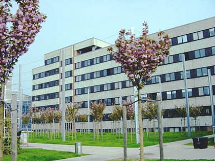 Institute of Biology / Microbiology