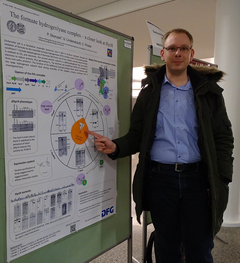 Dissertation meaning image